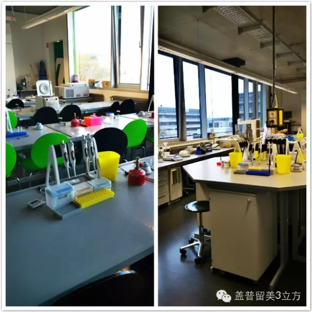 德国哥廷根XLAB科学夏令营(10-12年级,大一、大二) 德国哥廷根XLAB科学夏令营(10-12年级,大一、大二)