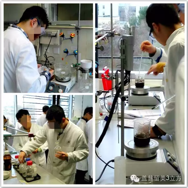 德国哥廷根XLAB科学夏令营（10-12年级，大一、大二）