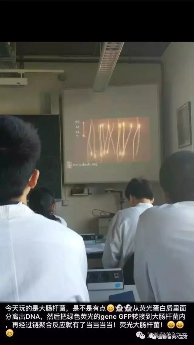 德国哥廷根XLAB科学夏令营（10-12年级，大一、大二）