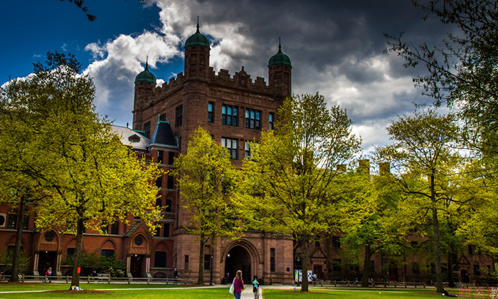 耶鲁大学