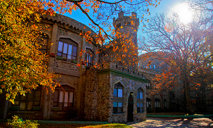 布兰迪斯大学